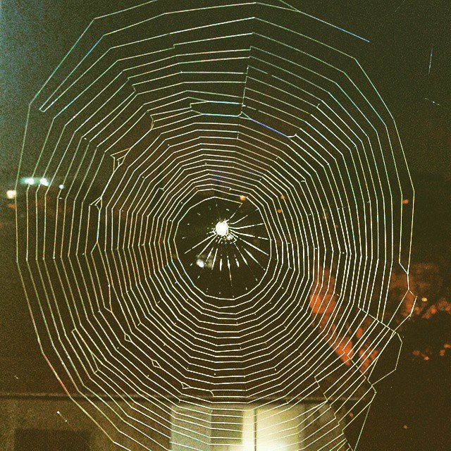 Spider Web