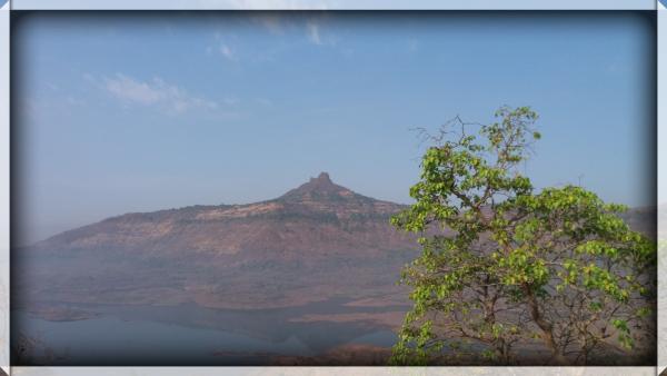 One Top Tree View, Matheran